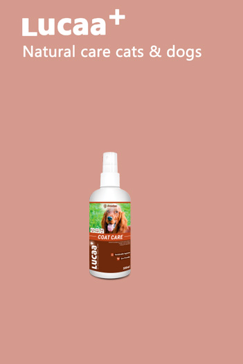 lucaa+